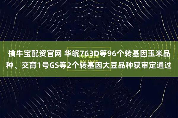 擒牛宝配资官网 华皖763D等96个转基因玉米品种、交育1号GS等2个转基因大豆品种获审定通过