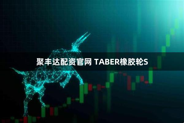 聚丰达配资官网 TABER橡胶轮S