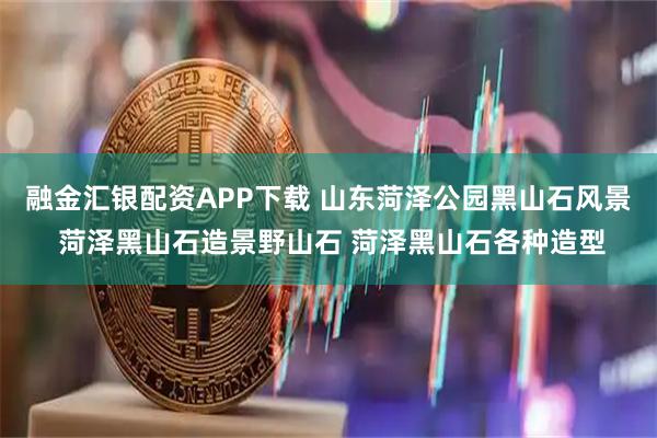 融金汇银配资APP下载 山东菏泽公园黑山石风景 菏泽黑山石造景野山石 菏泽黑山石各种造型