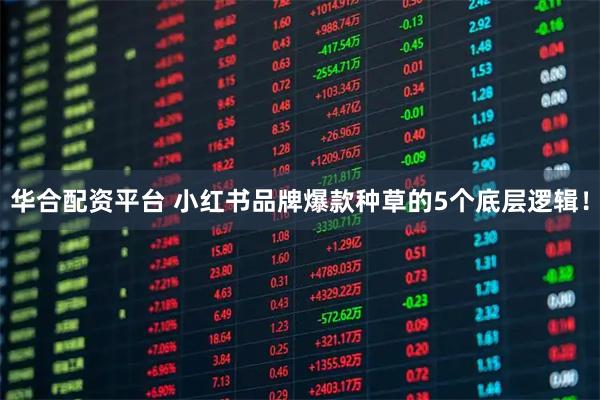 华合配资平台 小红书品牌爆款种草的5个底层逻辑！