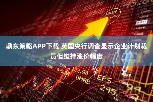 鼎东策略APP下载 英国央行调查显示企业计划裁员但维持涨价幅度