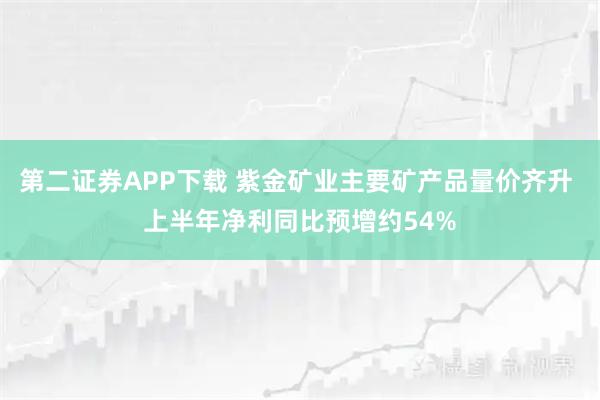 第二证券APP下载 紫金矿业主要矿产品量价齐升 上半年净利同比预增约54%