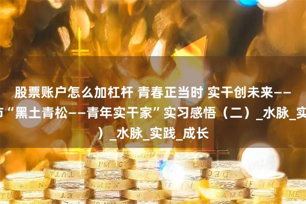 股票账户怎么加杠杆 青春正当时 实干创未来——哈尔滨市“黑土青松——青年实干家”实习感悟（二）_水脉_实践_成长